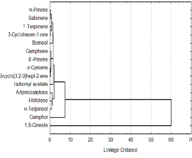 Fig. 1 Dendrogram presenting hierarchical clustering of major compounds of essentail oils of  A