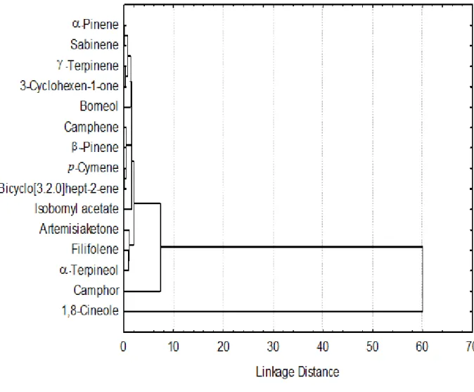 Fig. 1 Dendrogram presenting hierarchical clustering of major compounds of essentail oils of  A
