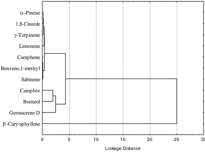 Fig. 2 Dendrogram presenting hierarchical clustering of  major compounds of essentail oils of  A