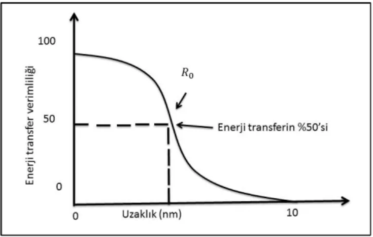 Şekil  1.11  Förster  mesafesi  ile  enerji  transfer  verimliliği  arasındaki  durumu  göstermektedir
