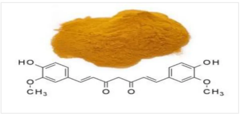 Figure  ‎2.5.  Structure  of  Curcumin,  golden  yellow  pigment  curcuminoid  is  the  predominant  compound  curcumin  I  (Curcuma  longa  L)  MW:  368.37,  MF:  C21H20O6