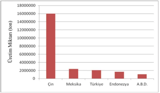 Şekil 1.1. 2012 Yılı dünya biber üreticisi ülkeler üretim miktarları (FAO 2012)
