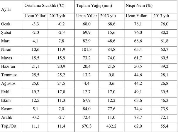 Tablo 3.1. Karakoçan ilçesinin uzun yıllar ve 2013 yılı bazı aylık ortalama iklim değerleri 