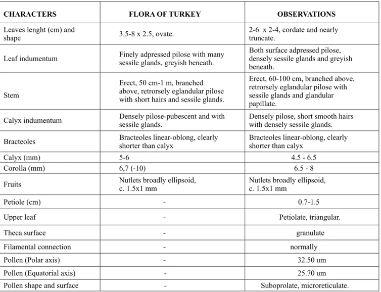 Table 1. Characters of N. cataria from Flora of Turkey and our observations                  