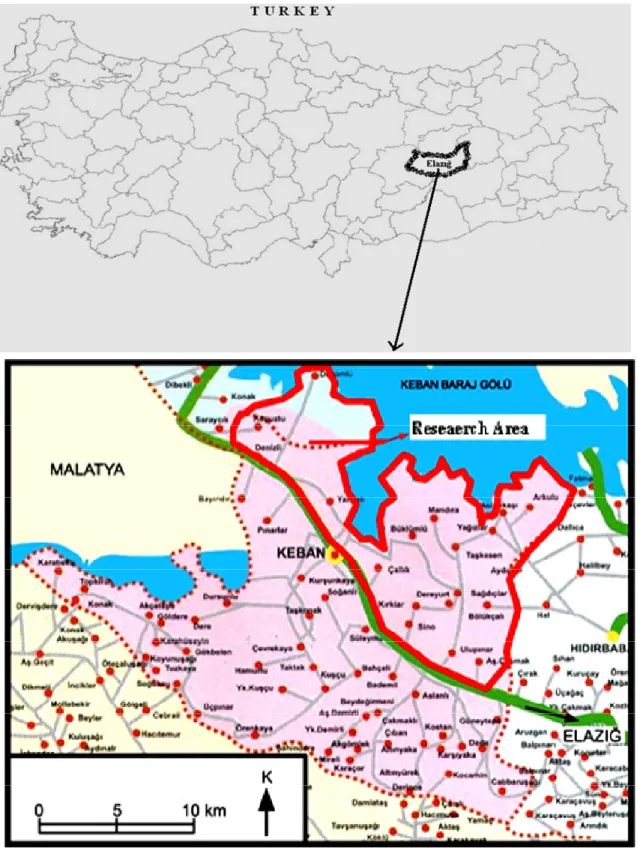 Figure 1. Geographical location of the study area. 