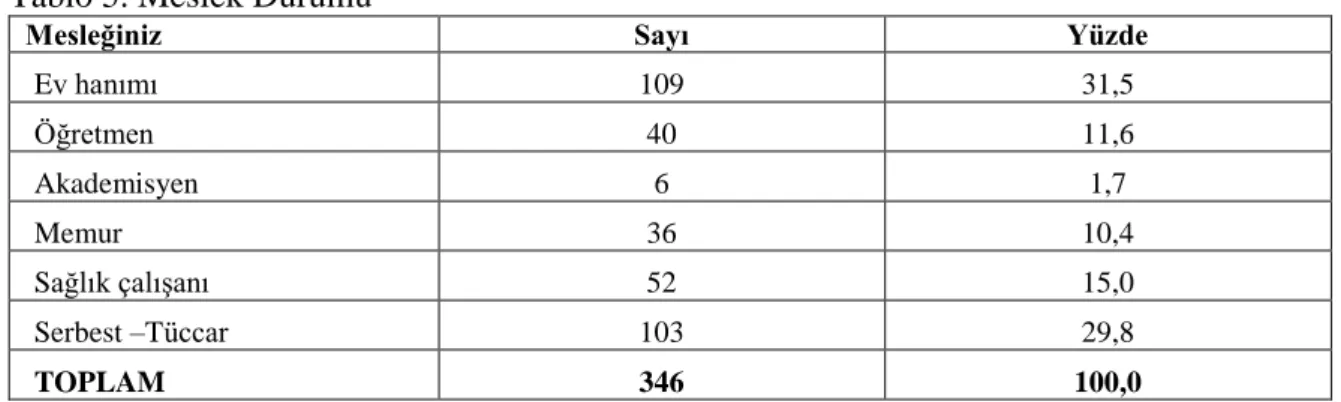 Tablo 5. Meslek Durumu 