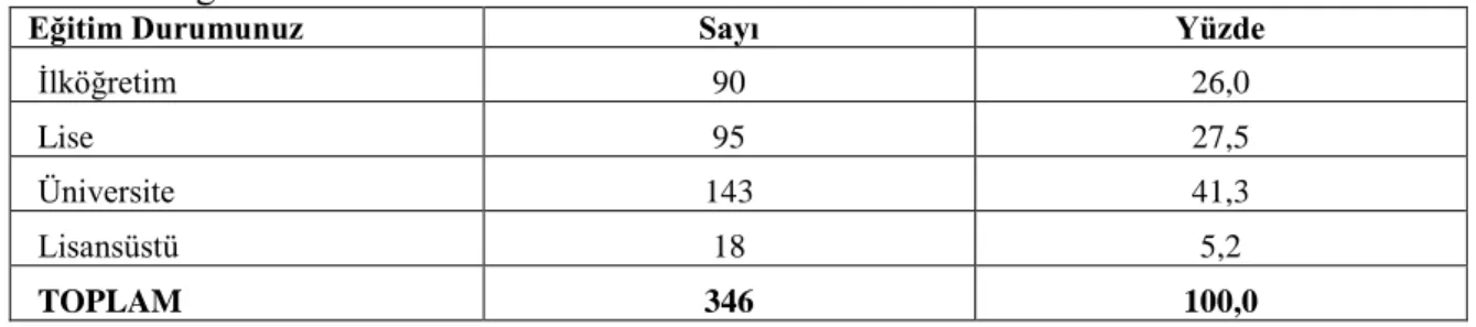 Tablo 17. Eğitim Durumu 