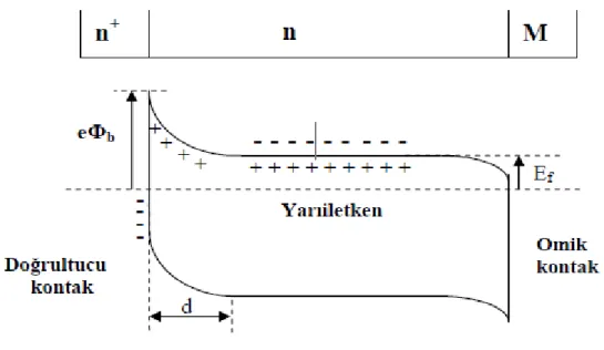 Şekil 1.7. n + nM yarıiletken diyot yapısının termal dengede enerji-bant diyagramı (Yıldırım 2009) 