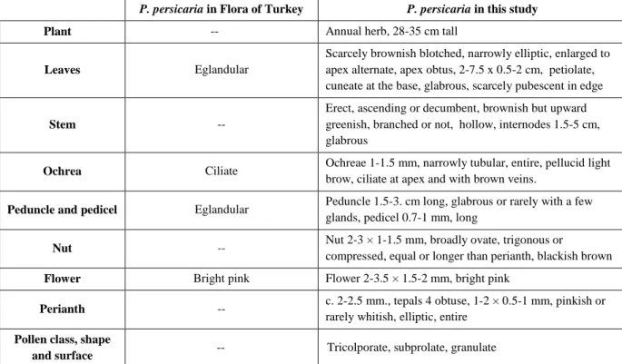 Table 2. Comparisons of examined specimen (P. persicaria) with Flora of Turkey. 