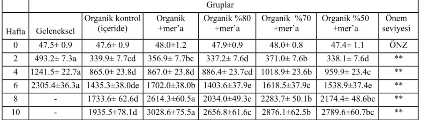 Çizelge 2. Geleneksel ve organik şartlarda yetiştirilen etlik piliçlerin (erkek+dişi) farklı dönemlerdeki canlı ağırlık ortalamaları (g)
