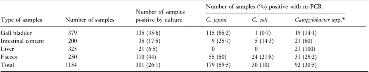 Table 1 Identification of Campylobacter spp. isolates obtained from various specimens of apparently healthy cattle by multiplex PCR (m-PCR)