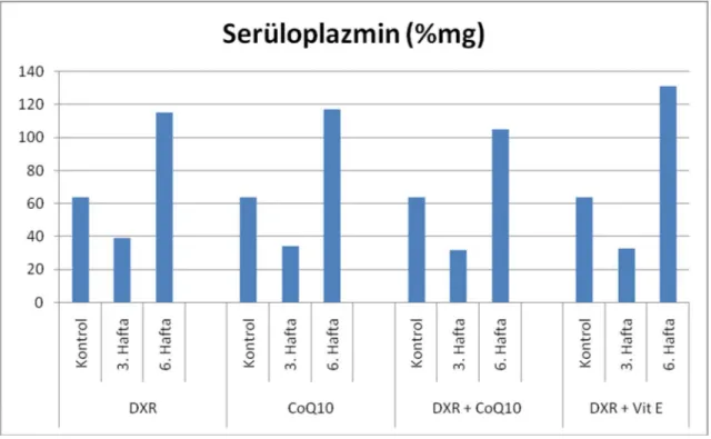Şekil 14.  DXR,  CoQ 10 , DXR+CoQ 10 ve DXR+Vit E uygulanan altı aylık ratlardaki serüloplazmin düzeyleri.