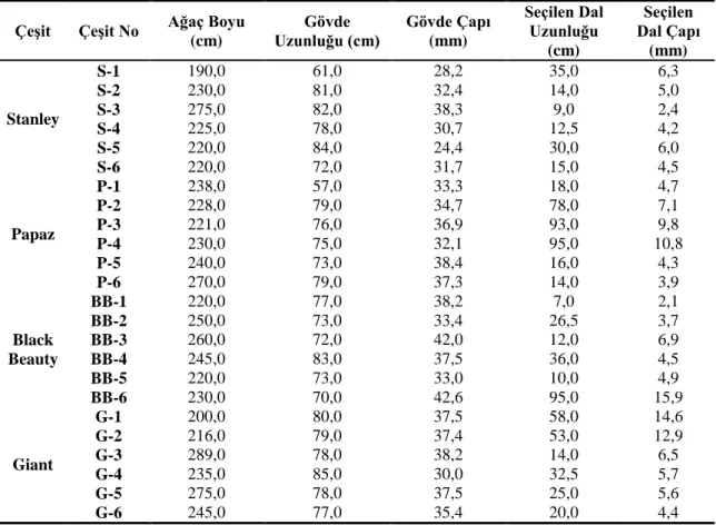 Çizelge 4. Erik çeşitlerinden vejetasyon dönemi başında alınan bazı fiziksel değerler    Çeşit  Çeşit No  Ağaç Boyu 