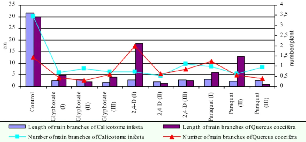 Figure 5.  Effects  of  different  herbicide  treatments  on  latheral  branch  lengths  and  numbers of Quercus coccifera and Calicotome infesta (two­year data).