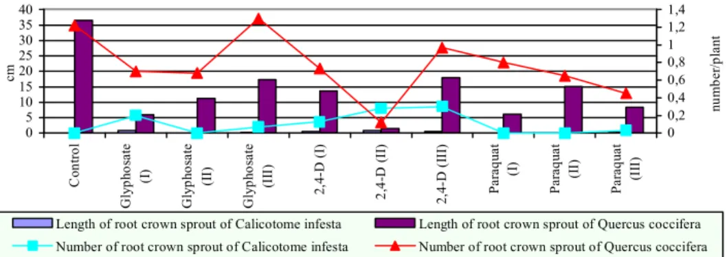 Figure 6.  Effects  of  different  herbicide  treatments  on  root  crown  sprout  lengths  and  numbers of Quercus coccifera and Calicotome infesta (two­year data). 