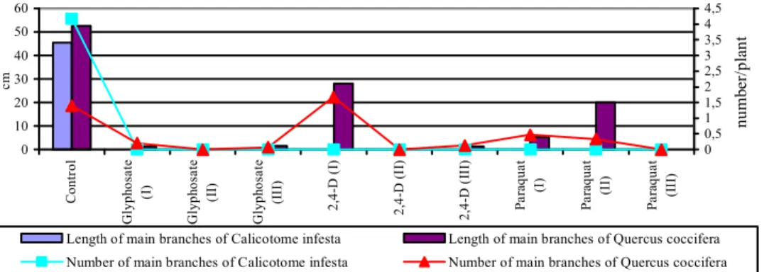 Figure 10.  Effects  of  different  herbicide  treatments  on  main  branch  lengths  and  numbers of Quercus coccifera and Calicotome infesta in 2002