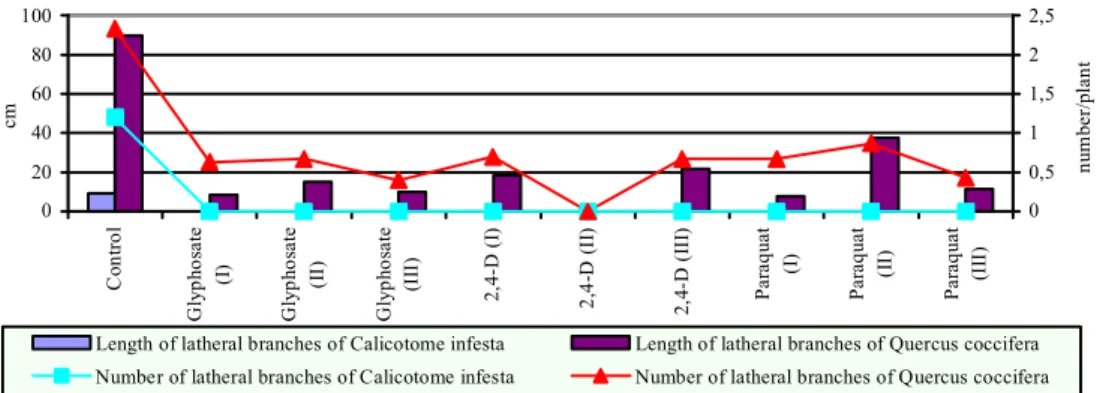 Figure 11.  Effects  of  different  herbicide  treatments  on  latheral  branch  lengths  and  numbers of Quercus coccifera and Calicotome infesta in 2002 