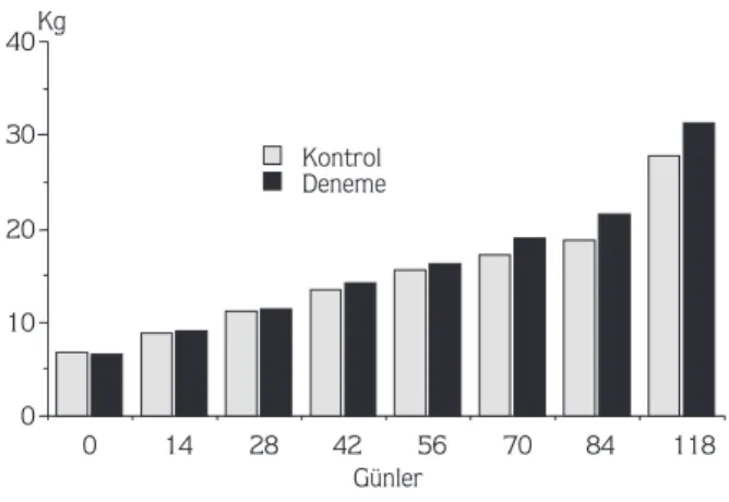 Tablo 2 ve fiekil 1’de görüldü¤ü gibi; kontrol grubunun 0. gündeki canl› a¤›rl›k ortalamas› ile (7,100 ± 0,230 kg) deneme grubu ortalamas› (7,020 ± 0,260 kg) aras›nda istatistik olarak önemli fark yoktu