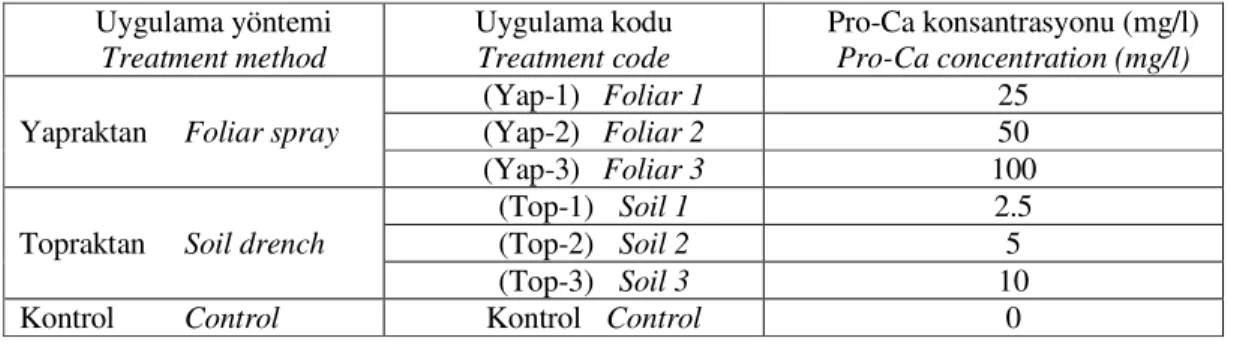 Çizelge 1. Pro-Ca konsantrasyonları ve uygulama yöntemleri. 