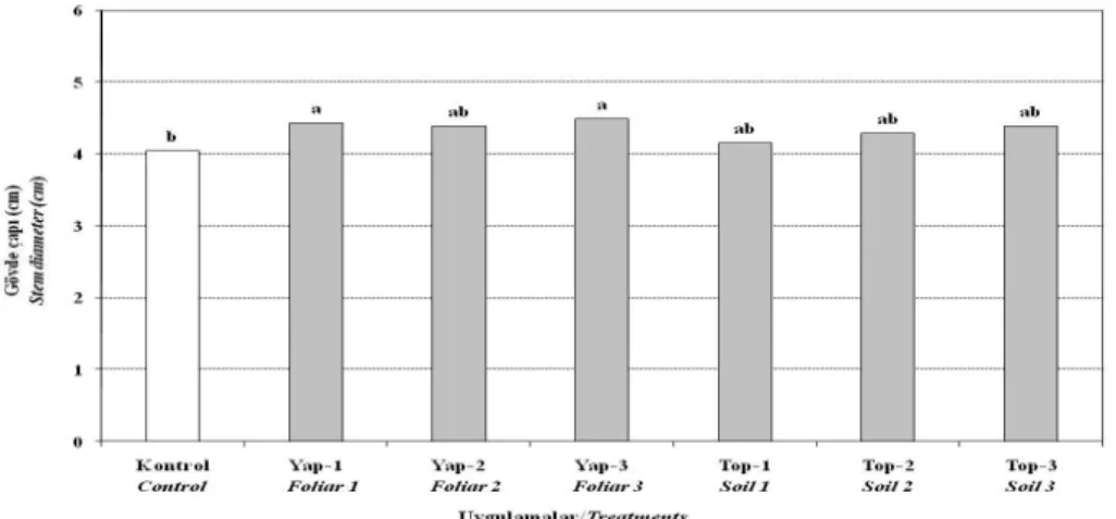 Figure 1. The effects of Pro-Ca applications on seedling stem length. 