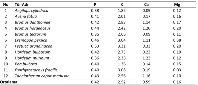 Çizelge 5. Poaceae Familyasına Ait Türlerin İçerdikleri P, K, Ca ve Mg Oranları (%) 