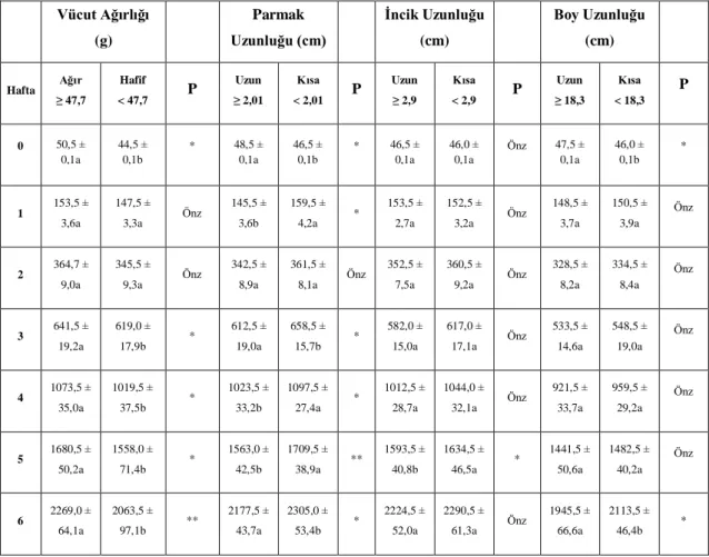 Tablo 4.1. Deneme gruplarına ait etlik piliçlerin canlı ağırlık ortalamaları (g) ve standart hataları (X ±  ) 