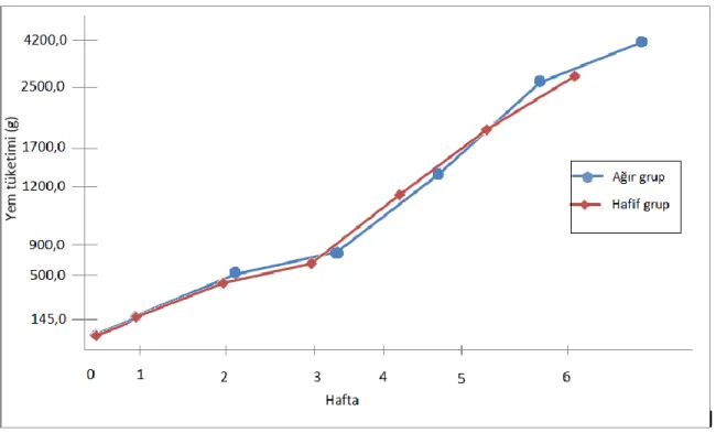 Şekil 4.5. Vücut ağırlığı gruplarının eklemeli yem tüketimlerindeki haftalık değişimler  