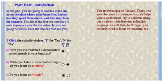 Figure 7: A sample task that is provided with conditional and customised feedback. 