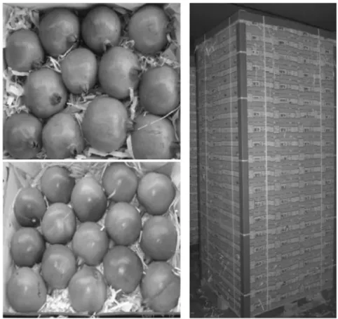 Figure 27.3. Pomegranates packaged for export markets (top left, 12-count box; bottom left, 15-count box;