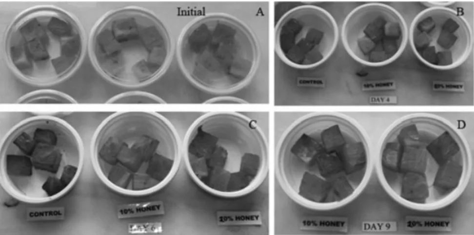 FIG. 1. IMAGES OF PERSIMMON CUBES TREATED WITH 10%, 20% DILUTED HONEY SOLUTION OR WATER AS CONTROL AND THEN STORED AT 4C FOR