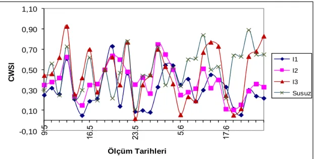 Şekil 4. Konulara göre CWSI’nin mevsim boyunca değişimi