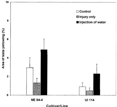 Fig. 1. Effect of injection of water on the percentage of seedcoat yellowing of two bean genotypes under the three different treatments
