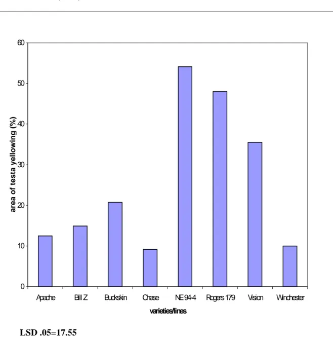 Figure 2. Percentage of seed coat yellowing of 8 field-grown pinto bean  varieties/lines (1997)
