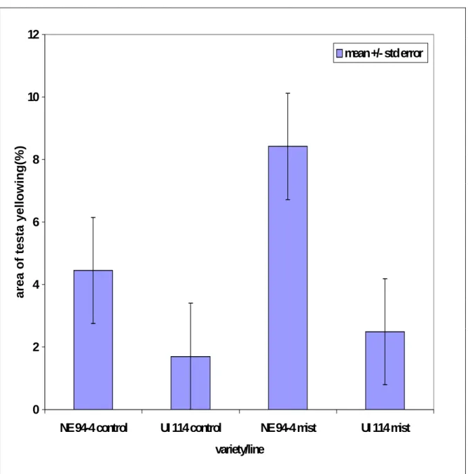 Figure 3.  Percentage of seed yellowing of seed coat of two bean entries under  different treatments in the misting experiment