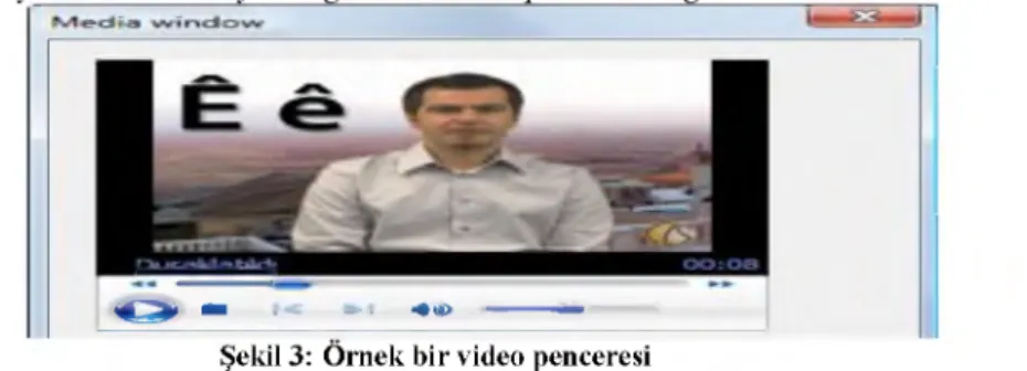 Şekil 3:  Örnek bir video penceresi