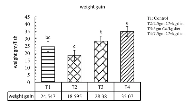 Figure 4.1. The effect of adding Chlorella in we ight gain of co mmon carp C. carpio, Mean values with   different superscripts within a co lu mn differ significantly (P≤0.05)  