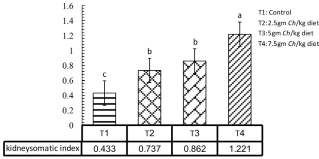 Figure  4.11.  The  effect  of  adding  Chlorella  in  Kidneysomatic  inde x  of  common  carp  C