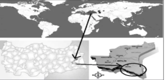 Figure 2.  Various photos of the Hizan region where honey  samples were acquired from