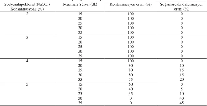 Çizelge 1: %2-5 oranında NaOCl (Sodyum hipoklorid) uygulamasının Pancratium maritimum L