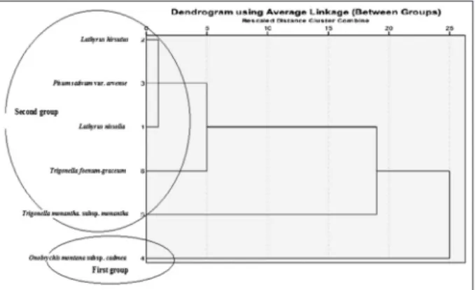 Figure 1. Hierarchical cluster analysis fatty acid of studied samples.