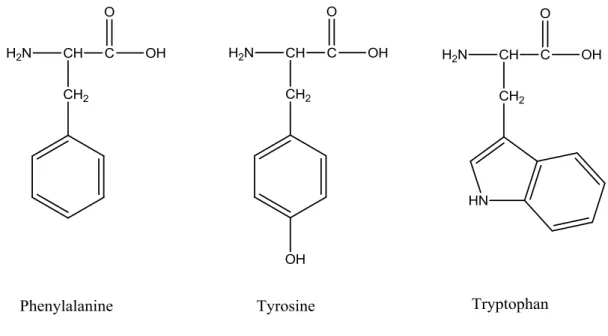 Figure 1. Neutral forms of aromatic amino acids  