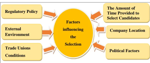 Figure 1.7 Factors Influencing the Selection Process  1.11.3. The Significance of the Selection Process 