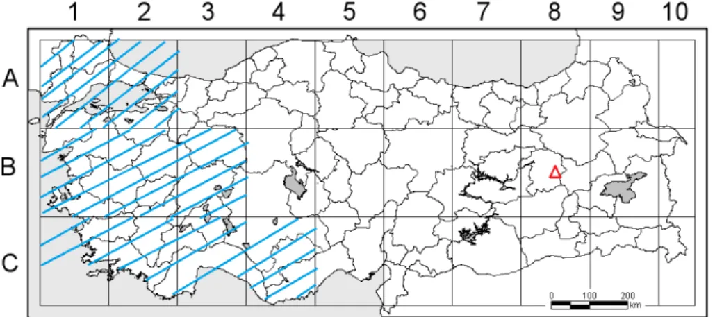 Figure 13. The distribution of Ornithogalum kilicii and close to O. nutans in  Turkey 