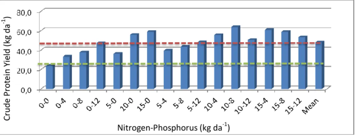 Figure 4. The crude protein yield of the pasture parcels (kg da -1 ) 