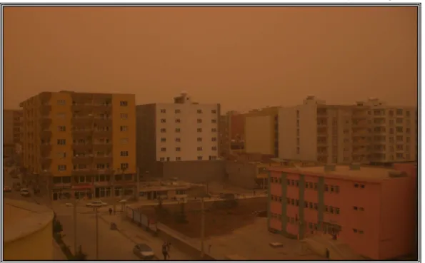 Foto 5: Mardin Kızıltepe (15 Mayıs 2011) 