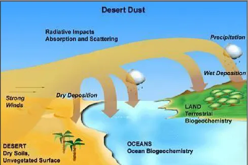 Şekil 5: Çöl tozlarının kara ve deniz ekosistemlerine olan etkisi   (www.tiimes.ucar.edu )