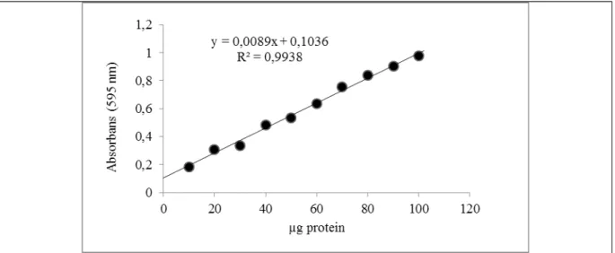 Şekil 1.1 Tavuk yürek GR enziminin bradford yöntemiyle proteinlerin kantitatif tayininde kullanılan standart  grafik