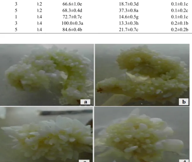 Figure 1. Bulblet regeneration on stems explant of M. aucheri. (a) using MS medium containing 3 mg/l TDZ +  0.4 mg/l NAA (b), developing and growing bulblets on MS medium (Bar Fig 1 a, b, c, d =0.3 cm)
