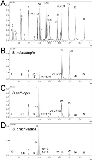 Figure 1. Typical HPLC chromatograms of (A) standards; (B)  S. microstegia;  (C)  S.aethiopis; and   (D)  S