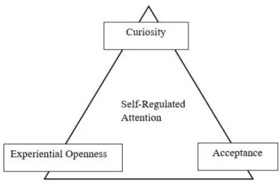 Figure 2.2.  Operational Definition of Mindfulness  